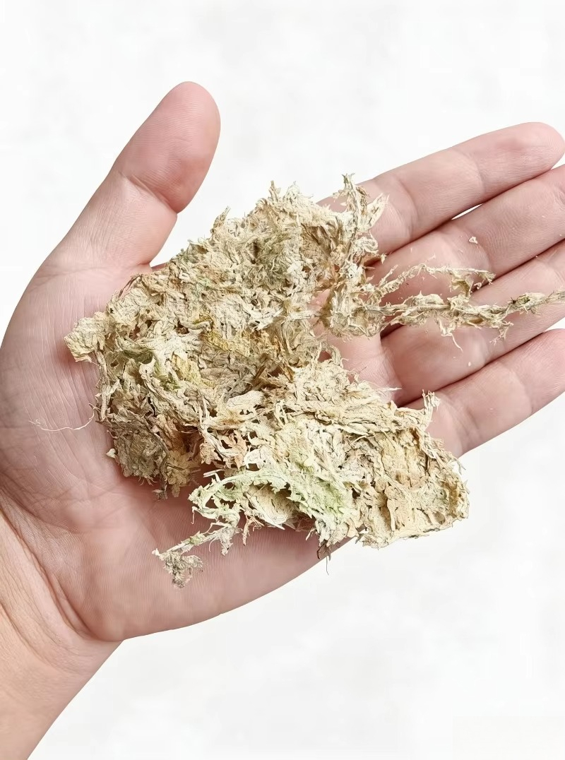 Sphagnum Moss Dry - Premium-Sphagnummoos für Orchideen, komprimierter Block, Terrarium-Bodenbelag