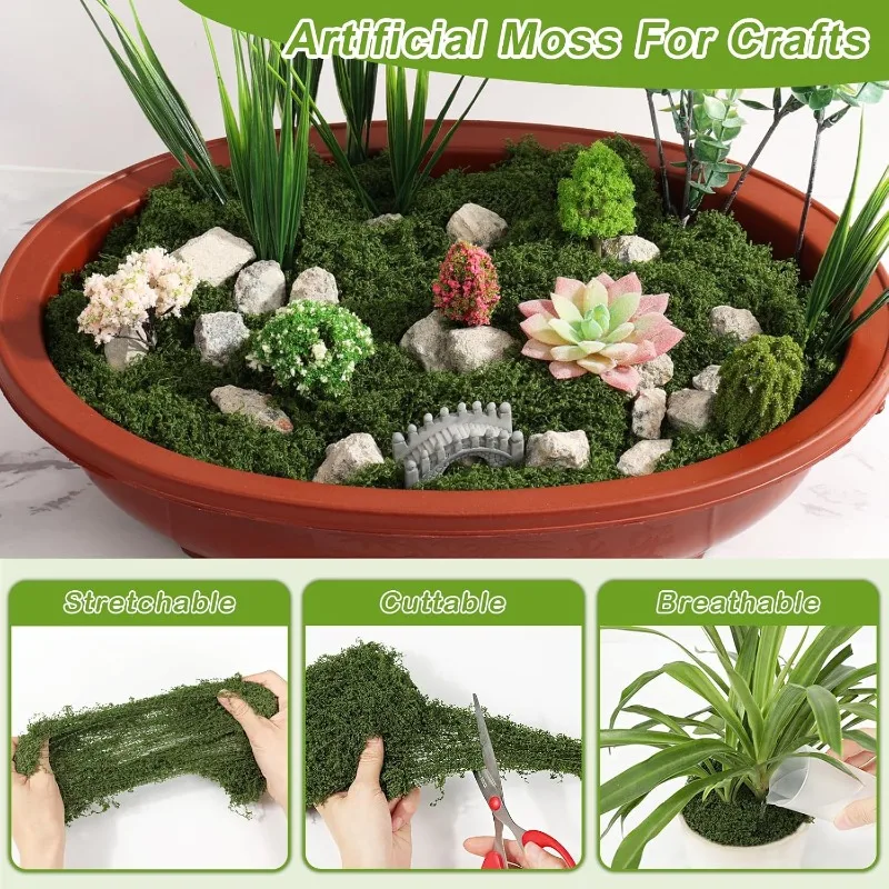 Ewiges Leben Moosgras Künstlic – Sphagnum Moss Dry Bewertung und Preis
