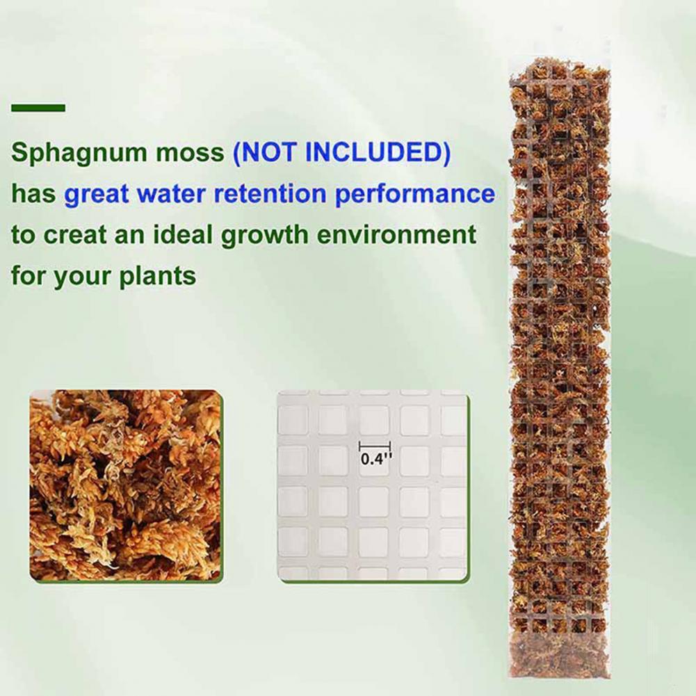 Kletterpflanzen-Moosstange, Be – Sphagnum Moss Dry Bewertung und Preis