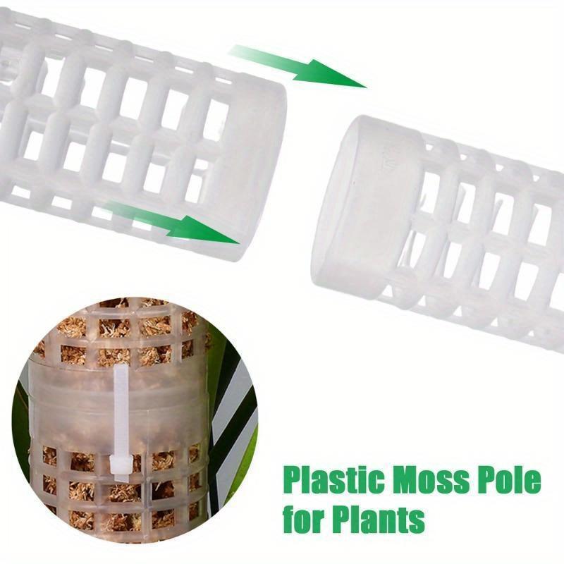 Pflanzenklettersäule aus Torfm – Sphagnum Moss Dry Bewertung und Preis